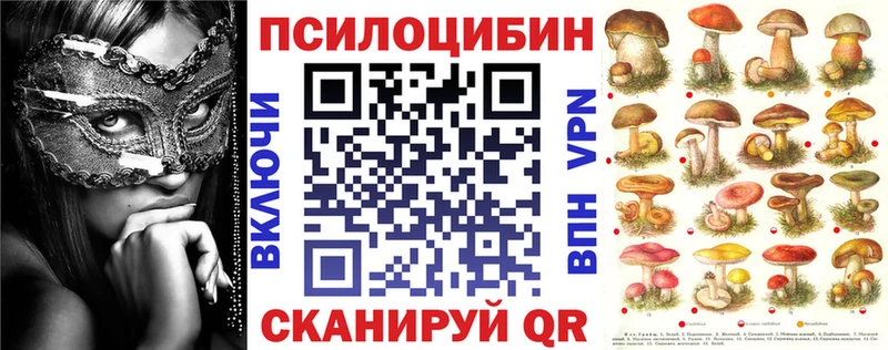 где найти   Сердобск  блэк спрут рабочий сайт  Галлюциногенные грибы Psilocybe 